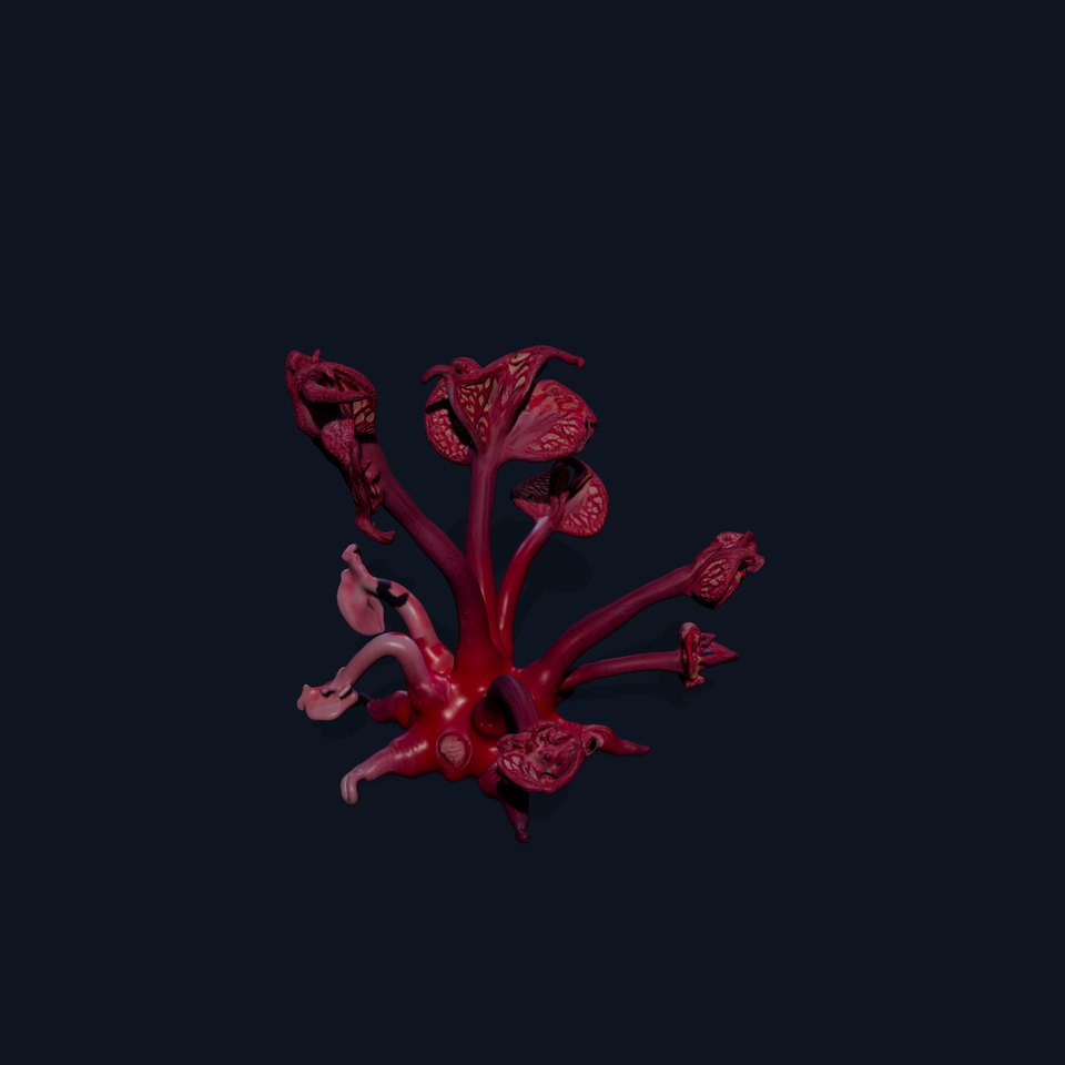 Mystical Pink Flora model pack